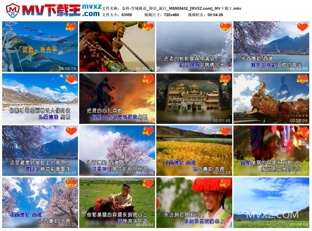 金铃-雪域桃花_国语_流行_MB505432